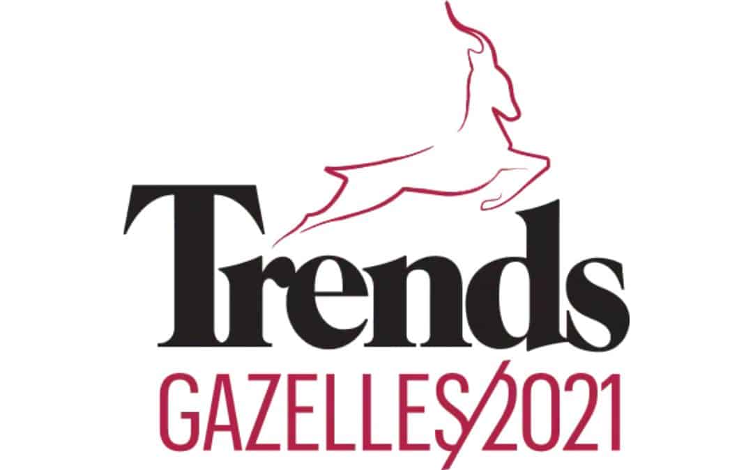 Trends Gazelles 2021 : une double récompense pour Perfect’Elec